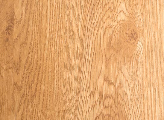 American Beech sample