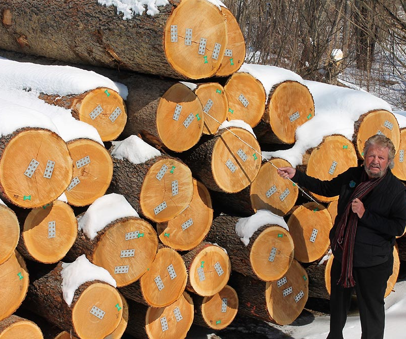 Logs & Staves
