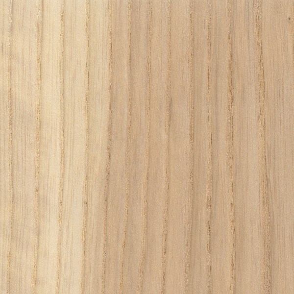 Ash sample