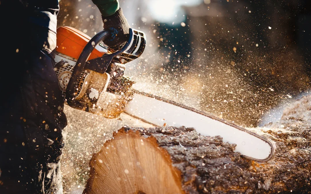 Standing Timber Buyers in Western Pennsylvania