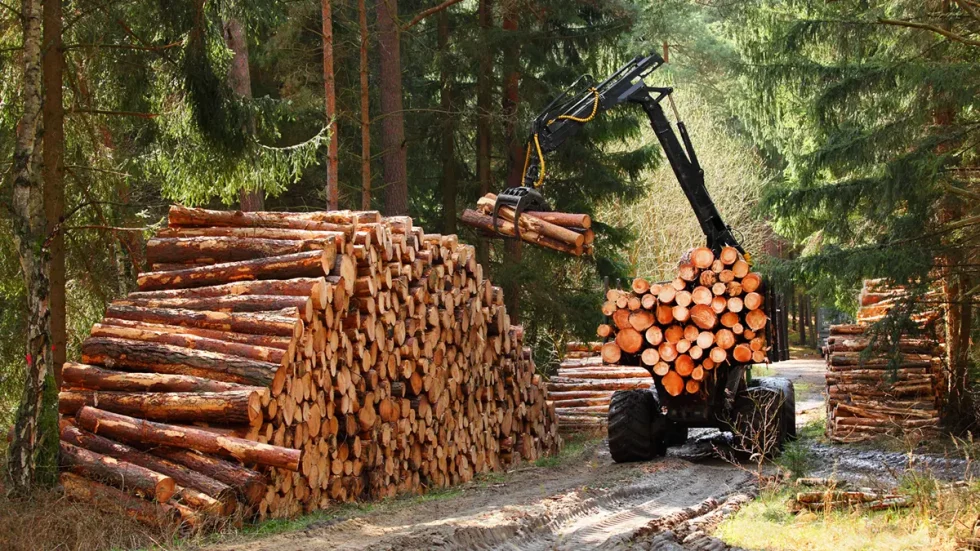 PA Timber Harvesting Services